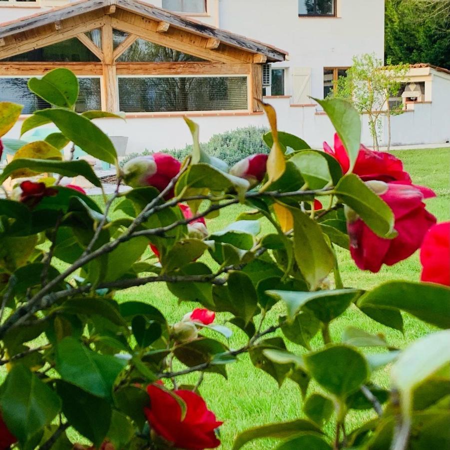 Villa Au Temps Suspendu à Saint-Martin-d'Oydes Extérieur photo